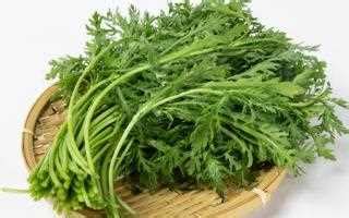 大叶茼蒿和小叶茼蒿哪个好吃，口感、小叶的风味