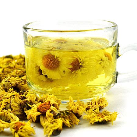 菊花茶的功效与禁忌，菊花茶的功效／慎用禁忌