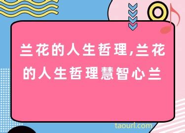 兰花的人生哲理，坚韧不拔／恬静宁和／追求卓越