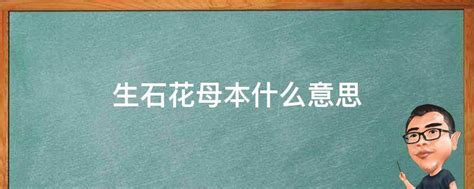 生石花母本什么意思，意义／选取／繁殖方法