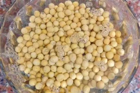 黄豆水属于磷肥还是氮肥（磷肥成分／氮肥成分／综合肥效）