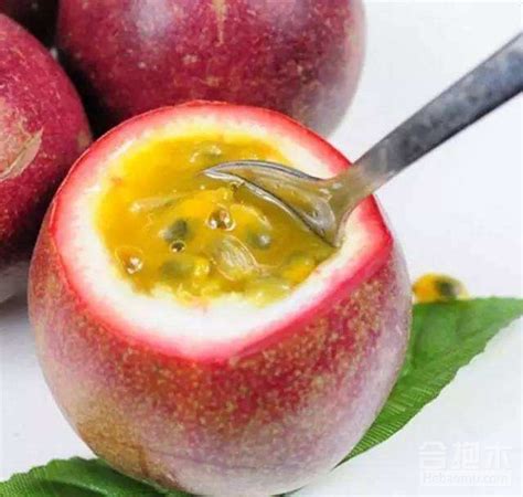 新鲜百香果怎么吃最好（新鲜食用、茶、冰淇淋）