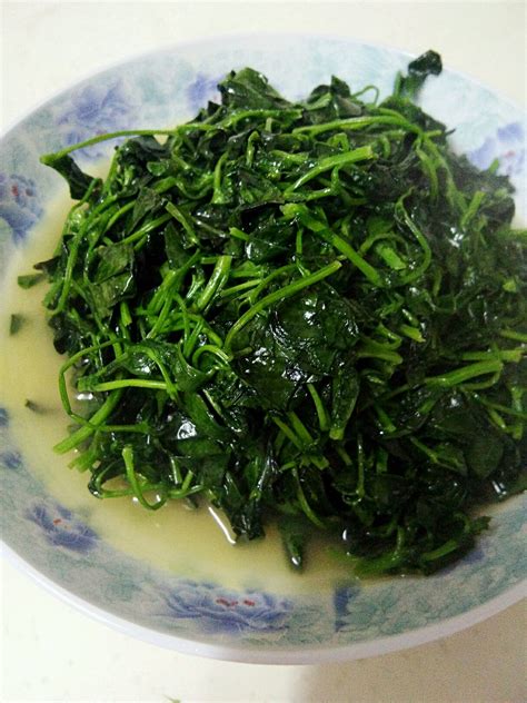 苜蓿怎么做着吃，微绿汤、沙拉、炒肉片