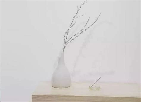 为什么买干枝雪柳犯法（非法采摘破坏生态环境）