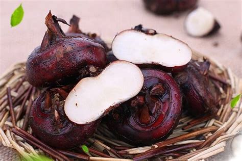 马蹄莲又叫荸荠，特点／营养价值／药用价值和应用
