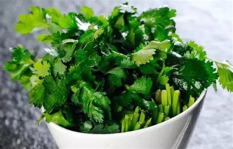女人吃香菜有什么好处和坏处，增加食欲／滋补身体／促进新陈代谢