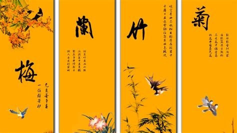 花中四君子是指什么，梅／兰／竹