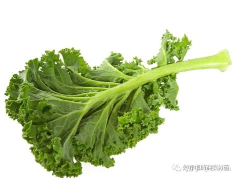 羽衣甘蓝粉是智商税吗，成分、功效、是否为智商税