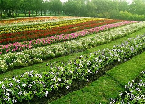 花圃的意思解释，意义、设计与规划、维护与管理