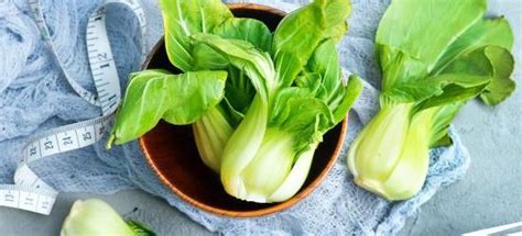 10至30天收成的菜（萝卜、生菜、黄瓜）