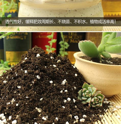 自制多肉营养土，配料选择、配比制作、使用注意