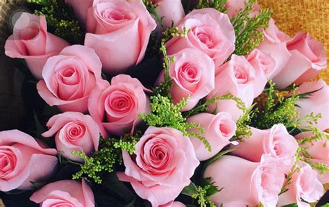 37朵玫瑰花代表什么意思（玫瑰花的象征意义）