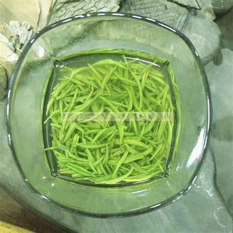 信阳毛尖属于什么茶（产地、特点、功效）