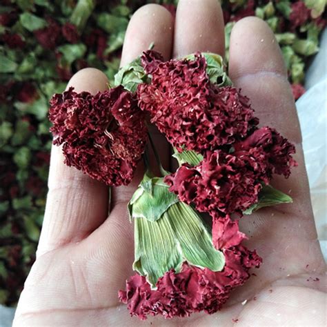 康乃馨可以做成干花吗，干花的制作方法、特点、是否适合做成干花