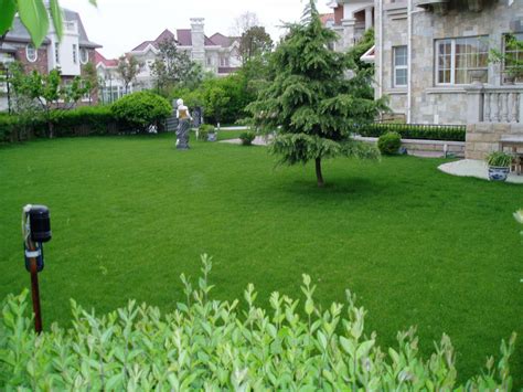 私家花园种什么草坪好，高羊茅草坪／细叶狗牙根草坪／长春草草坪