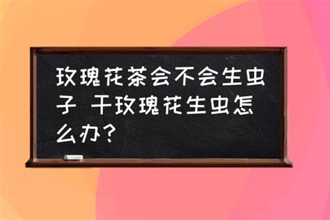 干花会不会生虫子，制作过程／正确保管方法／保质期