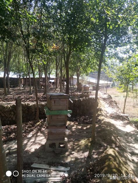 30平米房间适合搞什么养殖，蔬菜种植／观赏鱼养殖／养蚕