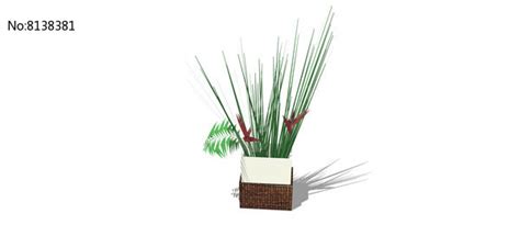 绿色一根一根竖起来的植物，美丽与魅力／生态功能／人文意义