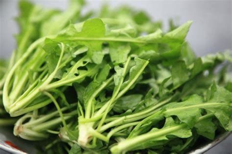 长得像荠菜的野菜（特征／生长环境／食用价值）