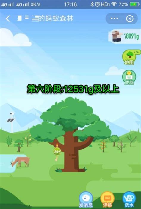 蚂蚁森林树的六个阶段，种子阶段／发芽阶段／成长阶段