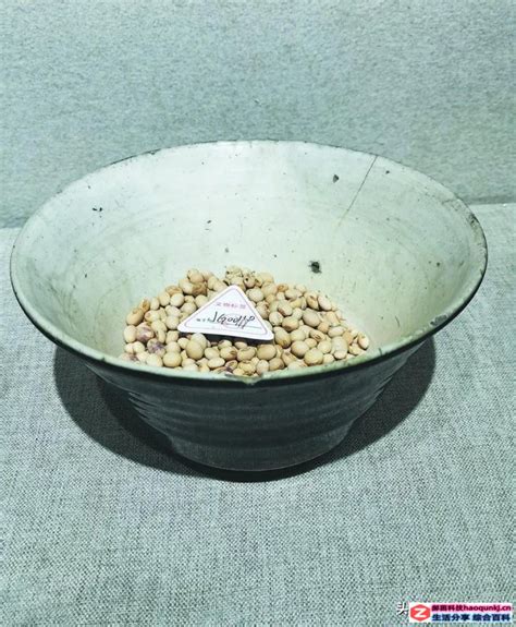 豆选是在哪里发生的，起源／发展／未来展望