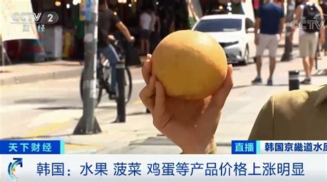 韩国一个梨涨至20多元（梨涨价原因／市场需求与供应情况）