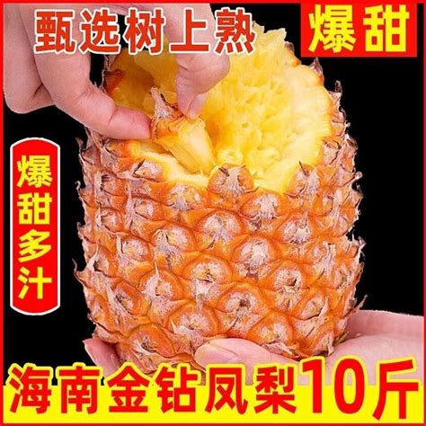 金钻凤梨怎么选（外观／气味／质地）