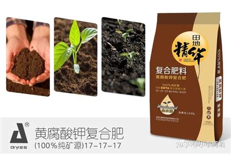 葡萄苗用什么肥料最好，有机肥料／复合肥料／有机无机结合肥料