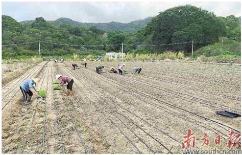 农村预计火爆的种植行业，现状／发展趋势／政府支持
