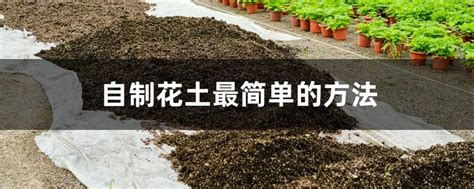 自制花土最简单的方法（基本原料、制作过程、注意事项）