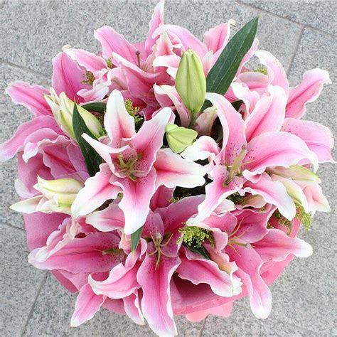 <strong>粉百合的花语与寓意是什么（花语、寓意、结语）</strong>