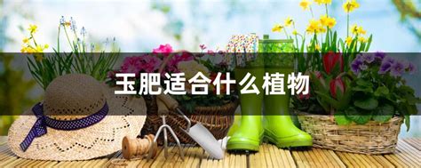 玉肥适合什么植物（果树的生长／蔬菜的种植／花卉的栽培）