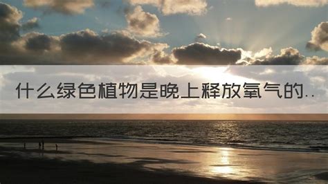 绿色植物晚上释放的是什么，什么？／原因／影响