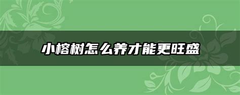 小榕树怎么养才能更旺盛，光照、温度和湿度、浇水和施肥