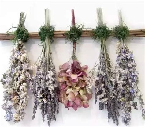 <strong>玫瑰花怎么风干做干花，准备工作／风干过程／干花保存</strong>