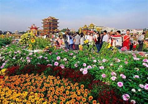 中山小榄菊花展（起源、特点、对当地经济影响）