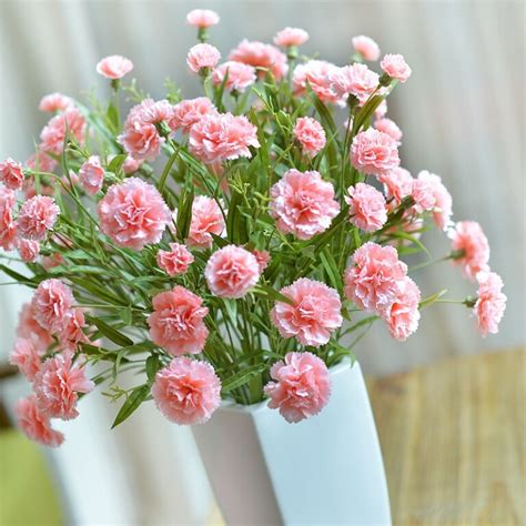 康乃馨怎么形容（花语／风靡／养护）