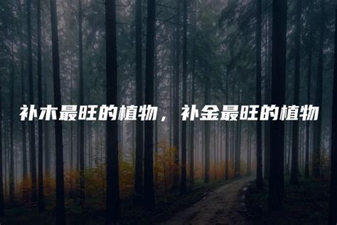补木最旺的植物，铁线莲／常春藤／旋花