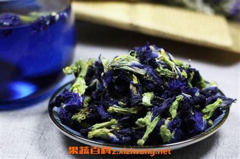 蝶豆花什么人不适合吃，孕妇、过敏体质者、消化系统疾病患者