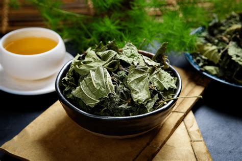桑叶泡水喝竟有6个害处（引发胃肠不适／影响钙的吸收）