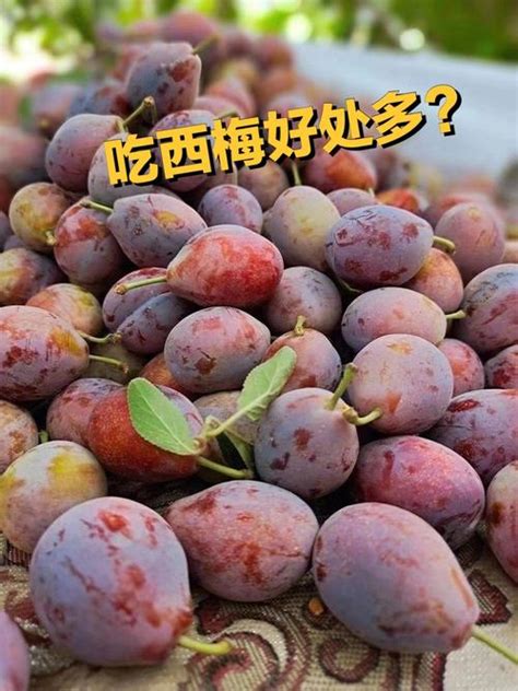 三种人不能吃西梅，孕妇／胃病患者／口腔溃疡患者