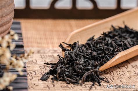 肉桂茶属于什么茶，起源／功效／饮用方法和注意事项