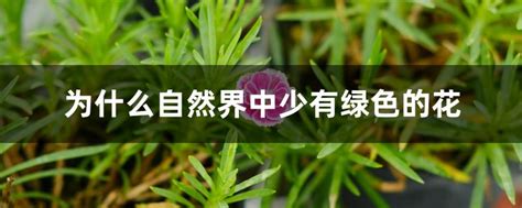 为什么自然界中少有绿色的花，绿色素缺乏、生物进化、植物适应环境