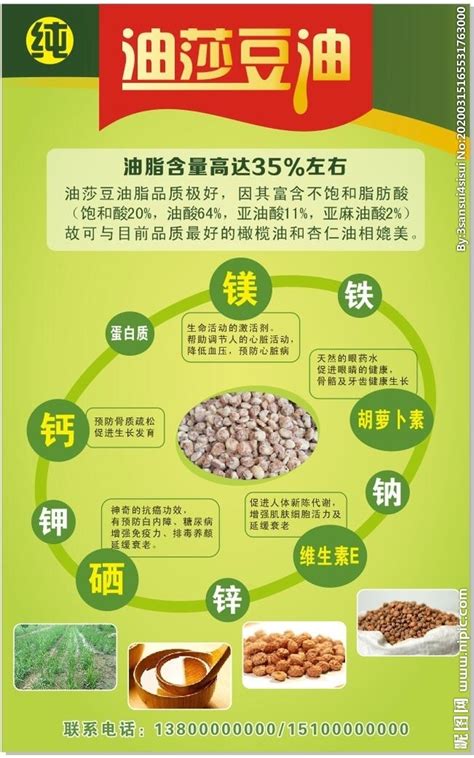油莎豆油怎么吃（炒菜、