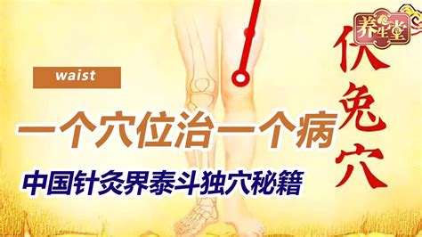 地桃花根治腰间盘突出（功效／使用方法／注意事项）