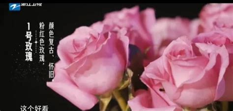 22朵玫瑰花语（爱的告白／