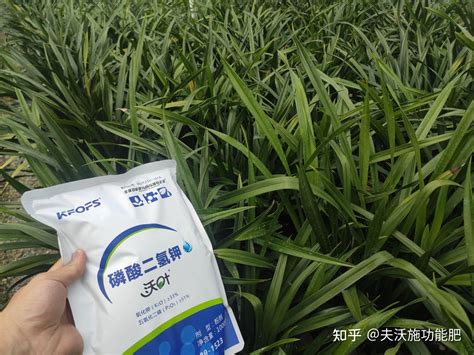 磷酸二氢钾的作用适合哪