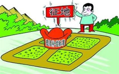 油茶树征地补偿标准，相