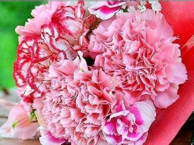 康乃馨花束怎么养（保持