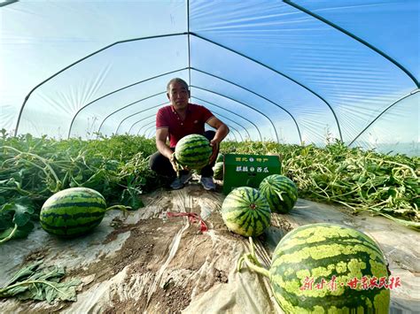 小拱棚西瓜的种植方法及时间（种植方法、适宜的种植时间）